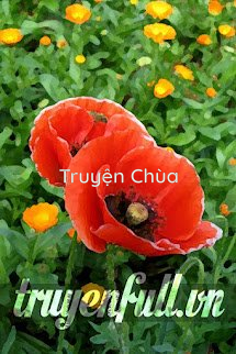 Hoa Anh Túc